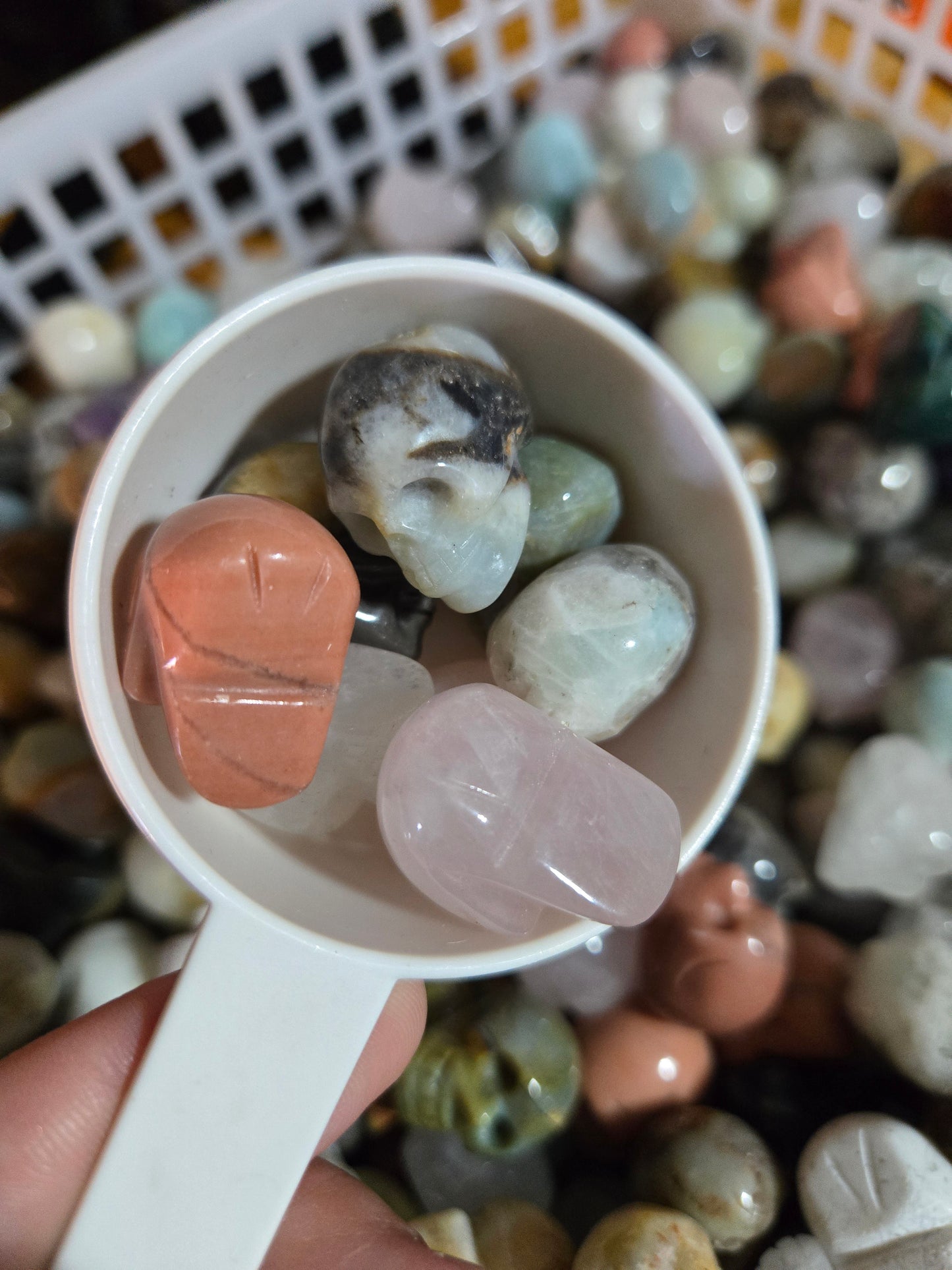 Mini Skull 1/4Cup Scoop