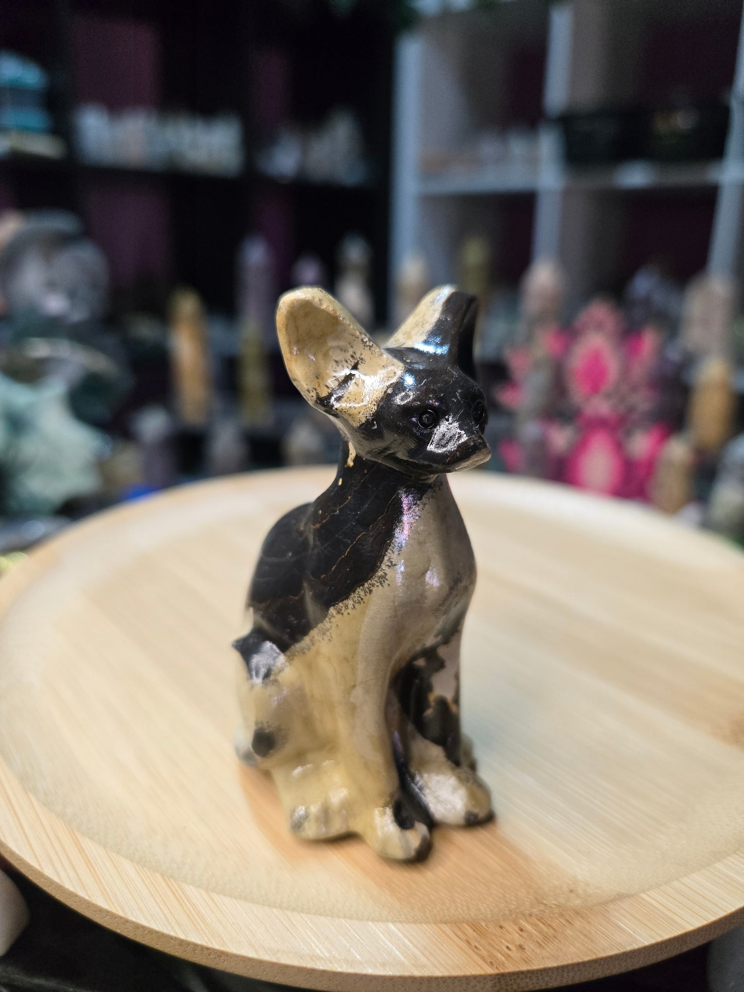 Picture Jasper Cat