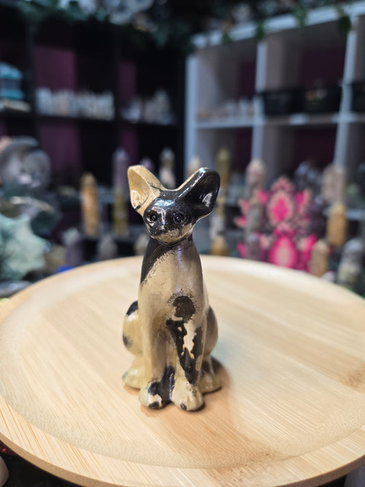 Picture Jasper Cat